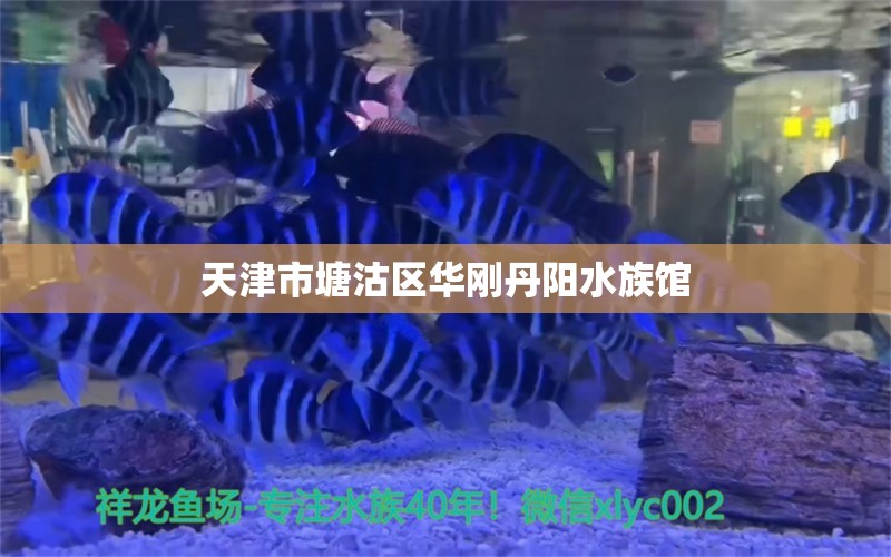 天津市塘沽區(qū)華剛丹陽水族館 全國水族館企業(yè)名錄