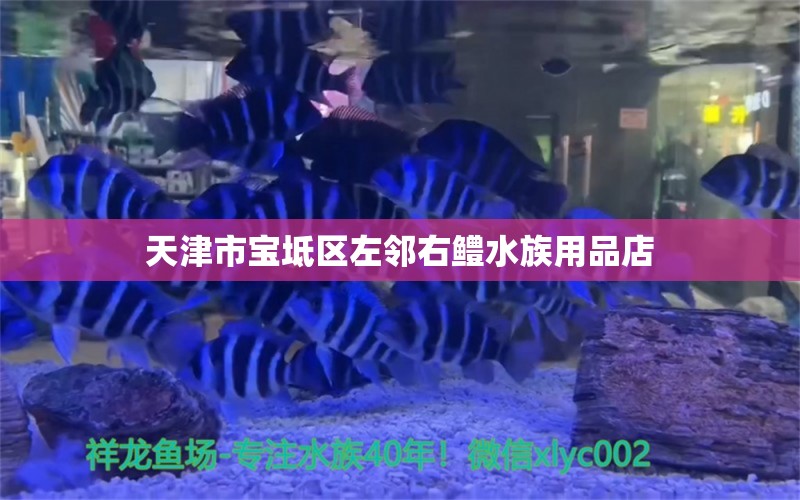 天津市寶坻區(qū)左鄰右鱧水族用品店