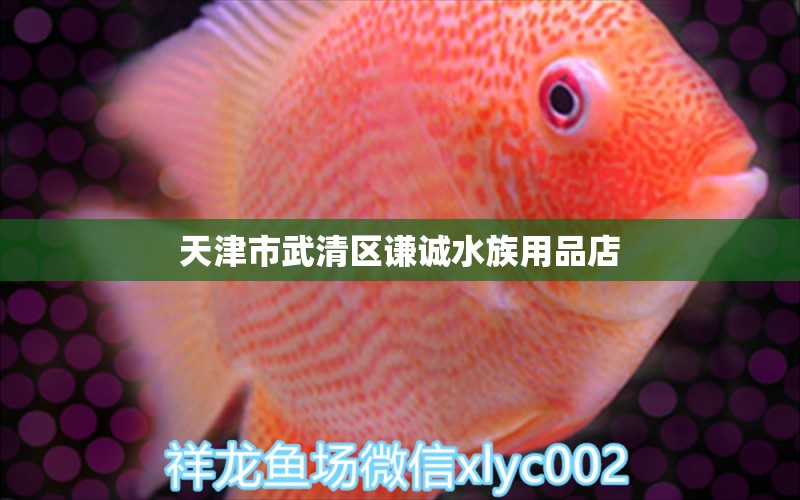 天津市武清區(qū)謙誠(chéng)水族用品店 水族用品