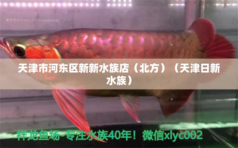 天津市河東區(qū)新新水族店（北方）（天津日新水族）