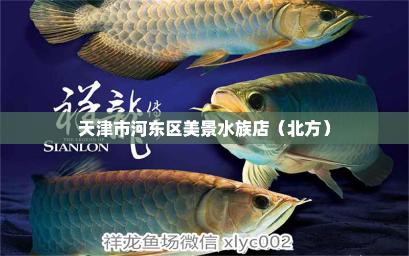 天津市河?xùn)|區(qū)美景水族店（北方） 全國(guó)水族館企業(yè)名錄