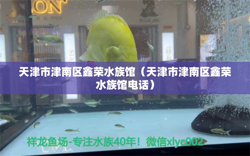 天津市津南區(qū)鑫榮水族館（天津市津南區(qū)鑫榮水族館電話） 全國水族館企業(yè)名錄