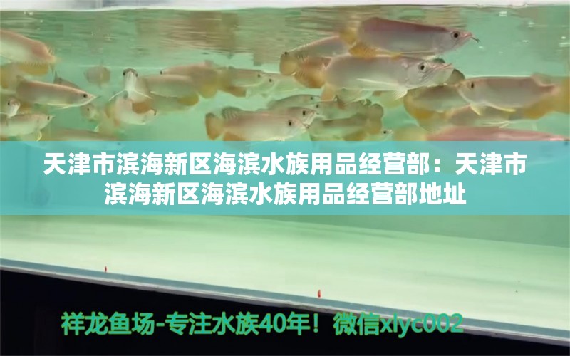 天津市濱海新區(qū)海濱水族用品經(jīng)營部：天津市濱海新區(qū)海濱水族用品經(jīng)營部地址