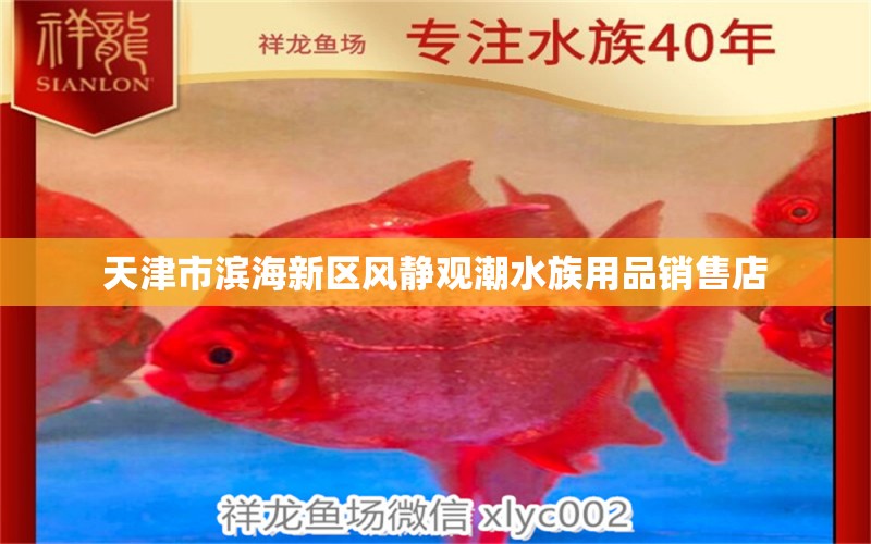 天津市濱海新區(qū)風(fēng)靜觀潮水族用品銷售店