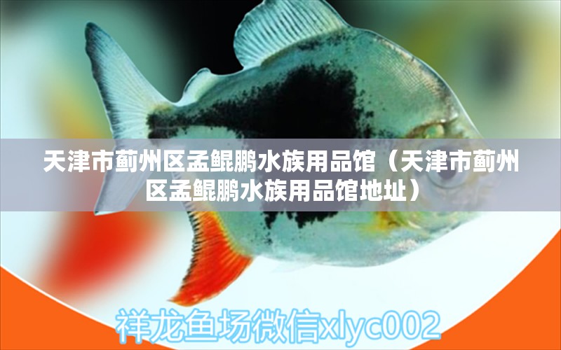 天津市薊州區(qū)孟鯤鵬水族用品館（天津市薊州區(qū)孟鯤鵬水族用品館地址） 水族用品 第1張