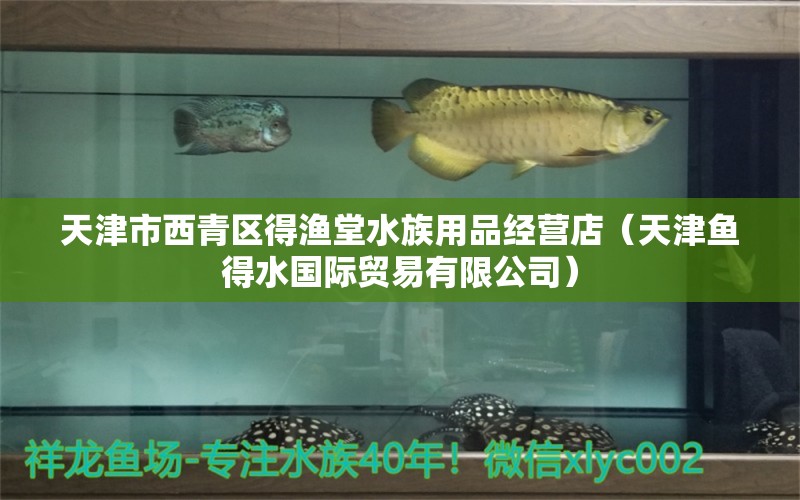 天津市西青區(qū)得漁堂水族用品經(jīng)營店（天津魚得水國際貿(mào)易有限公司） 水族用品