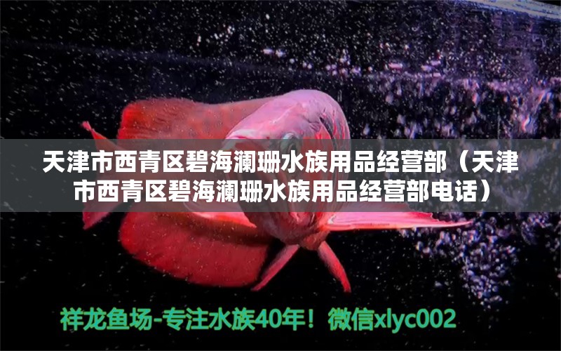 天津市西青區(qū)碧海瀾珊水族用品經(jīng)營部（天津市西青區(qū)碧海瀾珊水族用品經(jīng)營部電話） 水族用品