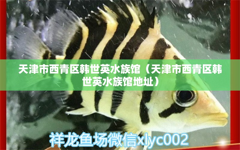 天津市西青區(qū)韓世英水族館（天津市西青區(qū)韓世英水族館地址）