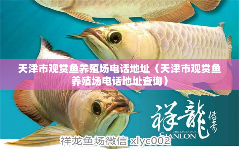 天津市觀賞魚養(yǎng)殖場電話地址（天津市觀賞魚養(yǎng)殖場電話地址查詢）