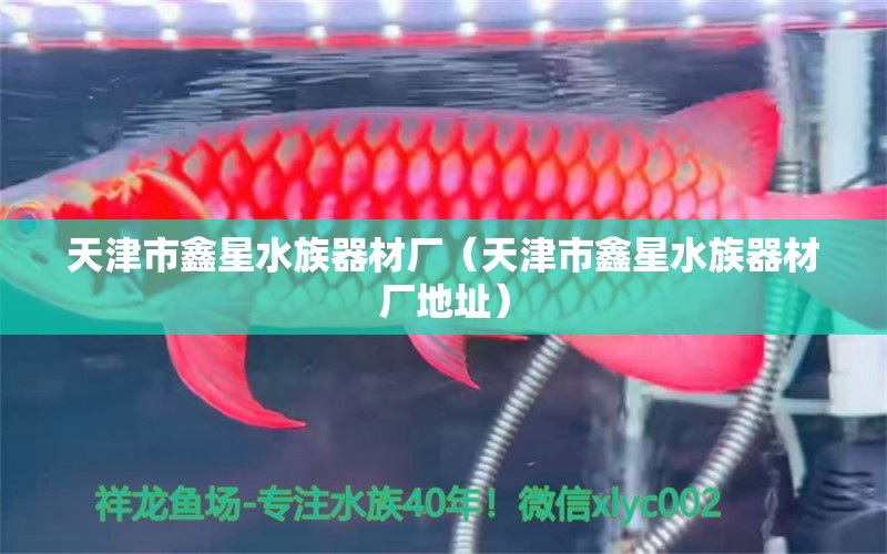 天津市鑫星水族器材廠（天津市鑫星水族器材廠地址）