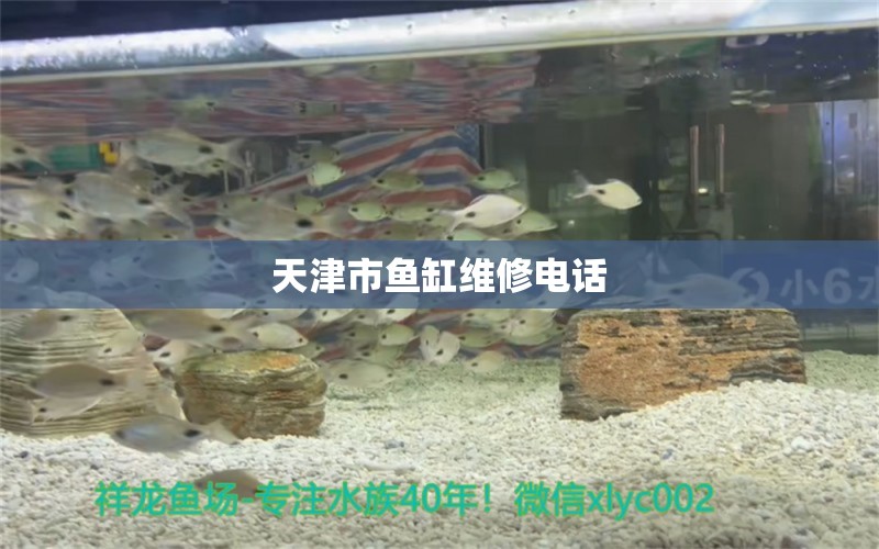 天津市魚(yú)缸維修電話(huà)