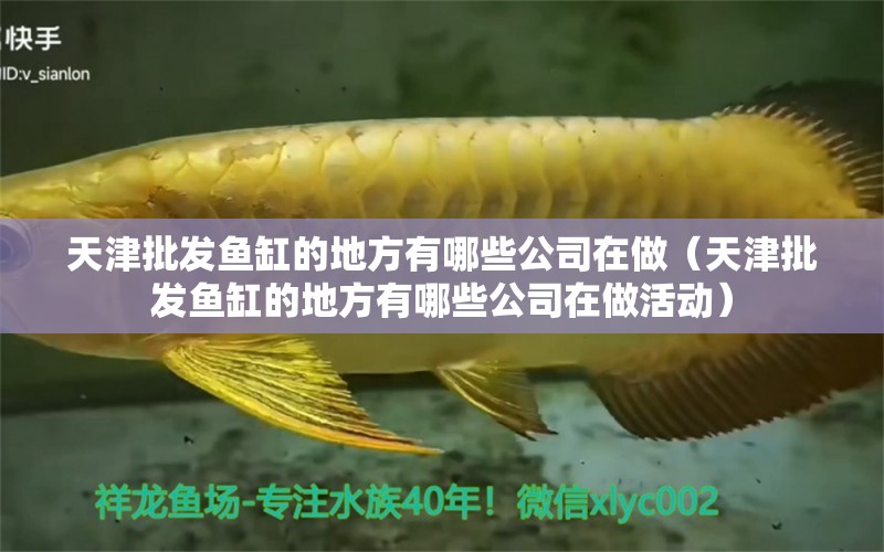 天津批發(fā)魚缸的地方有哪些公司在做（天津批發(fā)魚缸的地方有哪些公司在做活動） 觀賞魚市場（混養(yǎng)魚）