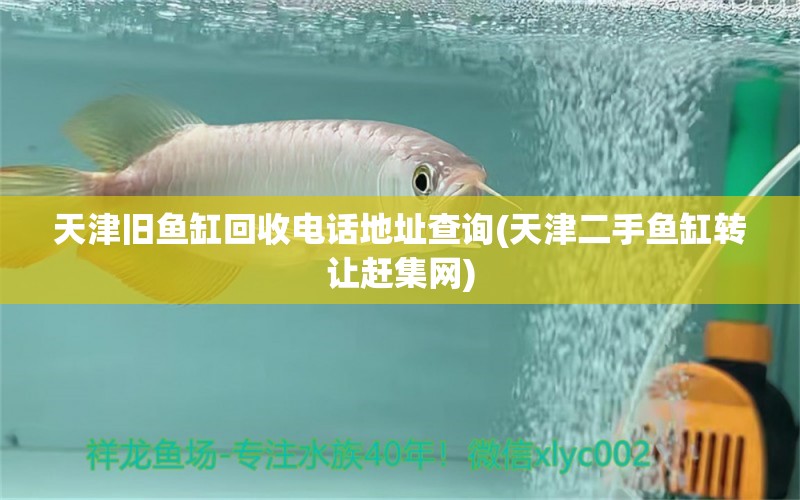 天津舊魚(yú)缸回收電話地址查詢(xún)(天津二手魚(yú)缸轉(zhuǎn)讓趕集網(wǎng)) 大白鯊魚(yú)苗 第1張