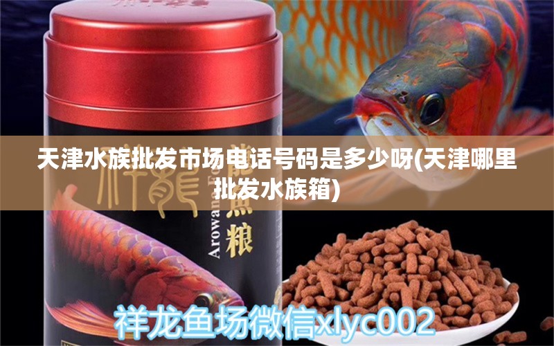 天津水族批發(fā)市場(chǎng)電話號(hào)碼是多少呀(天津哪里批發(fā)水族箱)