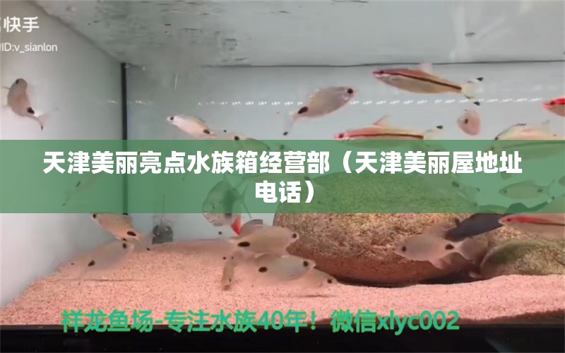 天津美麗亮點水族箱經(jīng)營部（天津美麗屋地址電話）