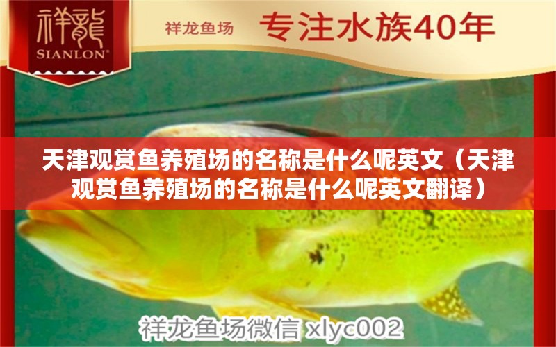 天津觀賞魚養(yǎng)殖場的名稱是什么呢英文（天津觀賞魚養(yǎng)殖場的名稱是什么呢英文翻譯）