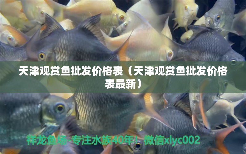 天津觀賞魚(yú)批發(fā)價(jià)格表（天津觀賞魚(yú)批發(fā)價(jià)格表最新）