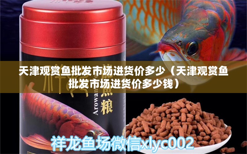 天津觀賞魚批發(fā)市場進貨價多少（天津觀賞魚批發(fā)市場進貨價多少錢） 觀賞魚批發(fā)