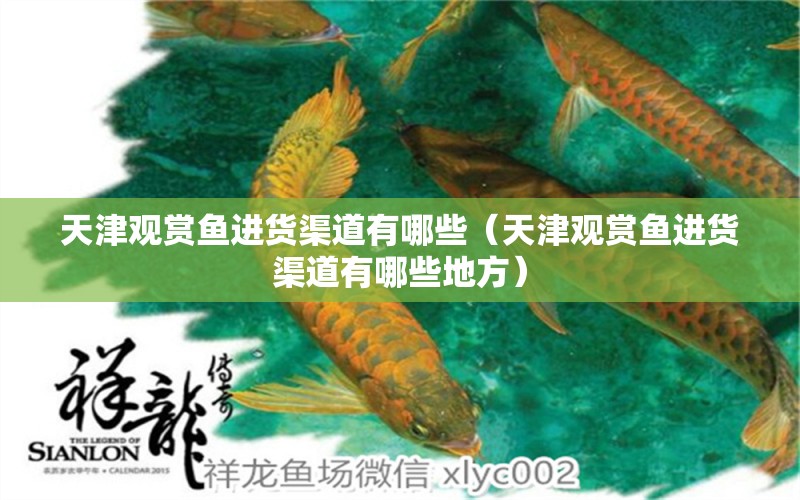 天津觀賞魚進貨渠道有哪些（天津觀賞魚進貨渠道有哪些地方）