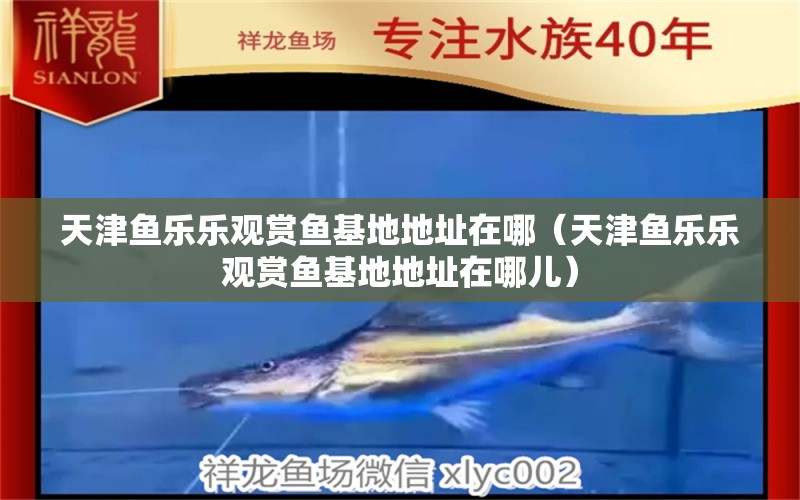 天津魚(yú)樂(lè)樂(lè)觀賞魚(yú)基地地址在哪（天津魚(yú)樂(lè)樂(lè)觀賞魚(yú)基地地址在哪兒）