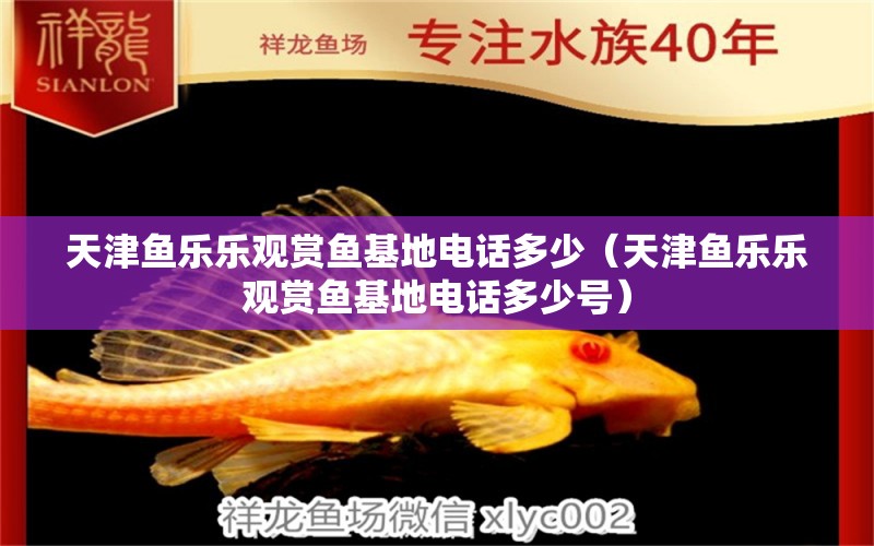 天津魚(yú)樂(lè)樂(lè)觀賞魚(yú)基地電話多少（天津魚(yú)樂(lè)樂(lè)觀賞魚(yú)基地電話多少號(hào)）