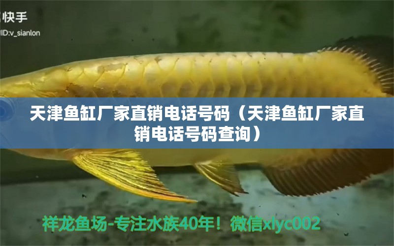 天津魚缸廠家直銷電話號(hào)碼（天津魚缸廠家直銷電話號(hào)碼查詢）