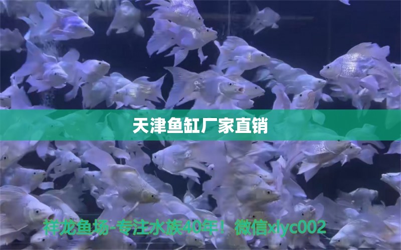 天津魚缸廠家直銷