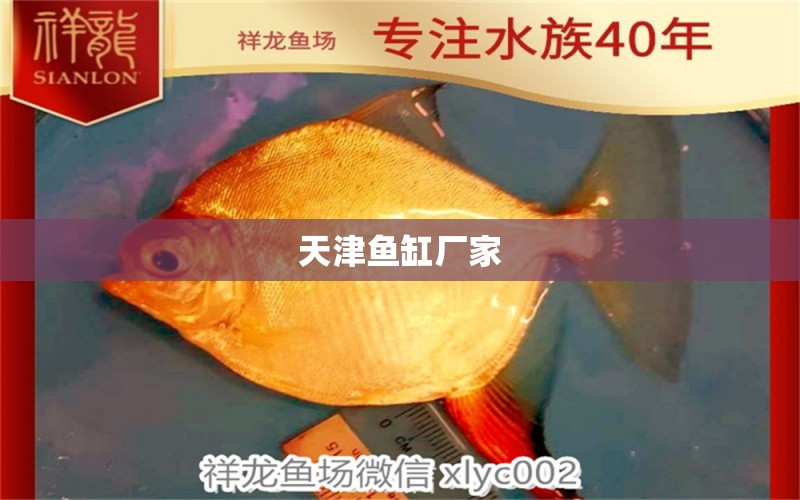 天津魚缸廠家