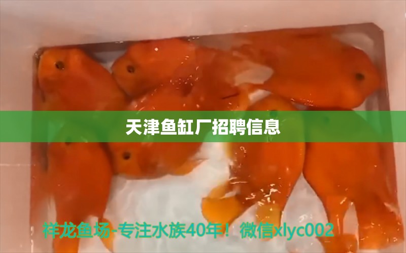 天津魚缸廠招聘信息 其他品牌魚缸