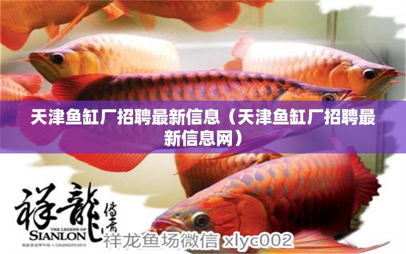 天津魚缸廠招聘最新信息（天津魚缸廠招聘最新信息網(wǎng)） 其他品牌魚缸