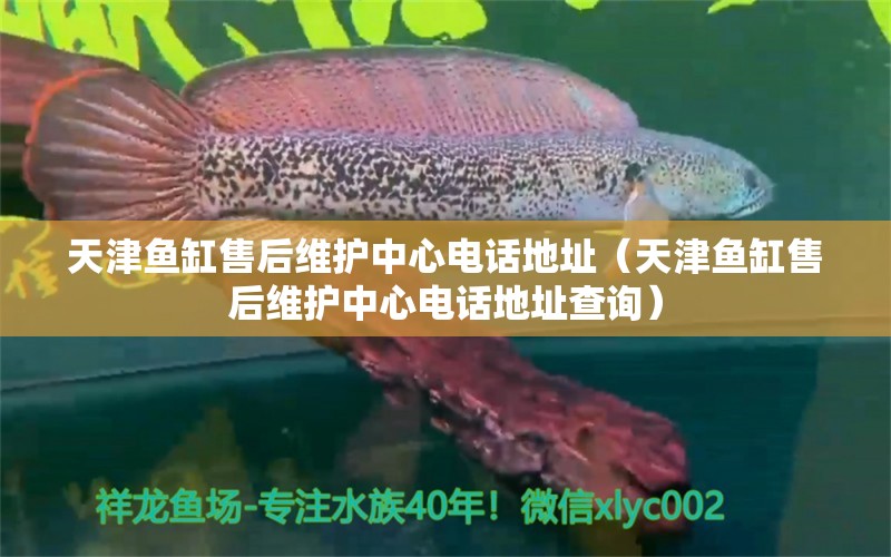 天津魚缸售后維護中心電話地址（天津魚缸售后維護中心電話地址查詢）