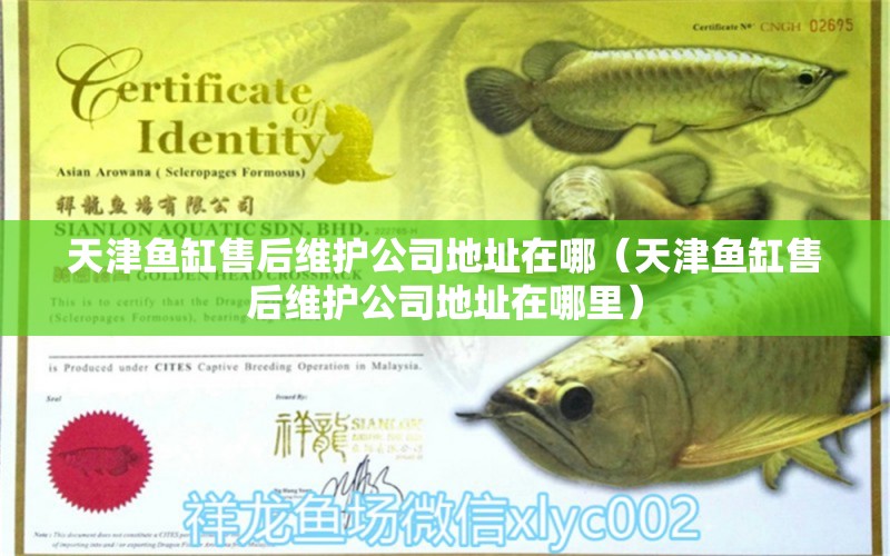 天津魚(yú)缸售后維護(hù)公司地址在哪（天津魚(yú)缸售后維護(hù)公司地址在哪里）