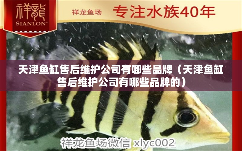 天津魚缸售后維護(hù)公司有哪些品牌（天津魚缸售后維護(hù)公司有哪些品牌的） 其他品牌魚缸