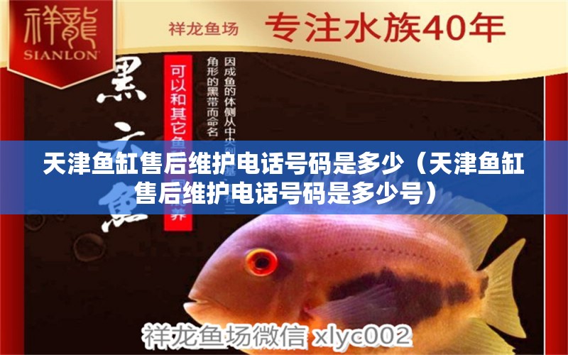 天津魚(yú)缸售后維護(hù)電話號(hào)碼是多少（天津魚(yú)缸售后維護(hù)電話號(hào)碼是多少號(hào)）