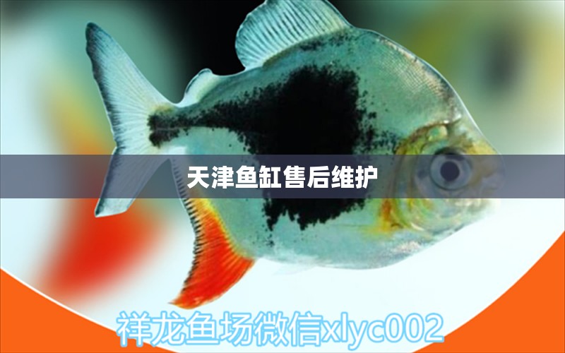 天津魚(yú)缸售后維護(hù)