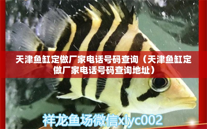 天津魚(yú)缸定做廠家電話號(hào)碼查詢（天津魚(yú)缸定做廠家電話號(hào)碼查詢地址） 其他品牌魚(yú)缸