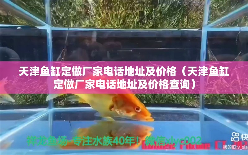 天津魚缸定做廠家電話地址及價格（天津魚缸定做廠家電話地址及價格查詢） 其他品牌魚缸