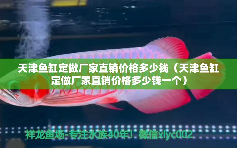 天津魚缸定做廠家直銷價格多少錢（天津魚缸定做廠家直銷價格多少錢一個） 祥龍水族醫(yī)院