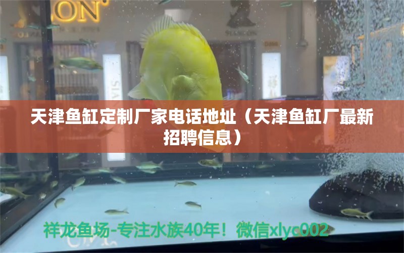 天津魚缸定制廠家電話地址（天津魚缸廠最新招聘信息）