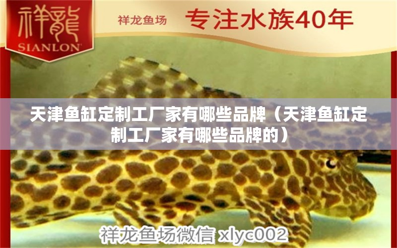 天津魚缸定制工廠家有哪些品牌（天津魚缸定制工廠家有哪些品牌的）