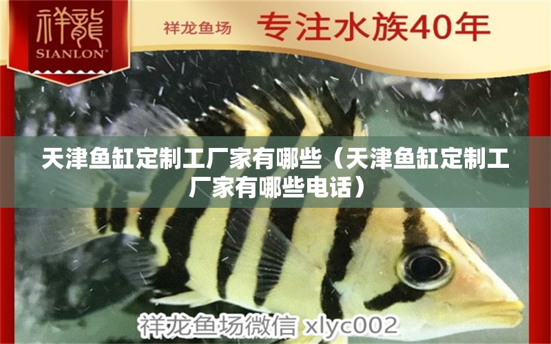 天津魚缸定制工廠家有哪些（天津魚缸定制工廠家有哪些電話）