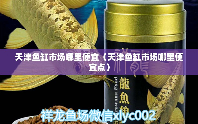 天津魚缸市場哪里便宜（天津魚缸市場哪里便宜點） 其他品牌魚缸