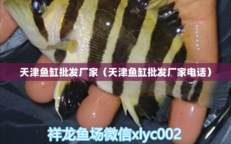 天津魚(yú)缸批發(fā)廠家（天津魚(yú)缸批發(fā)廠家電話）