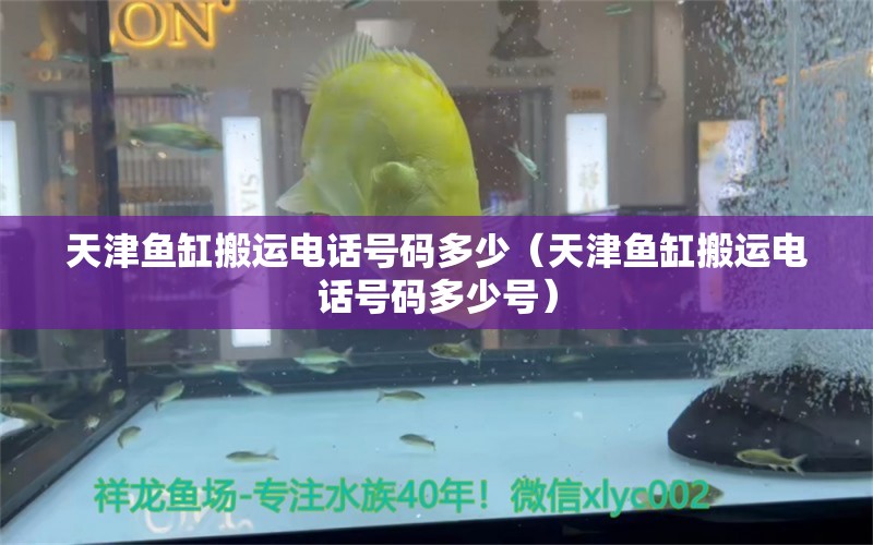 天津魚缸搬運電話號碼多少（天津魚缸搬運電話號碼多少號）