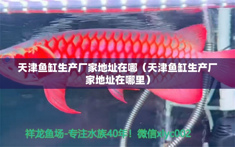 天津魚(yú)缸生產(chǎn)廠家地址在哪（天津魚(yú)缸生產(chǎn)廠家地址在哪里）