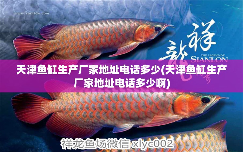 天津魚缸生產(chǎn)廠家地址電話多少(天津魚缸生產(chǎn)廠家地址電話多少啊) 虎魚魚苗