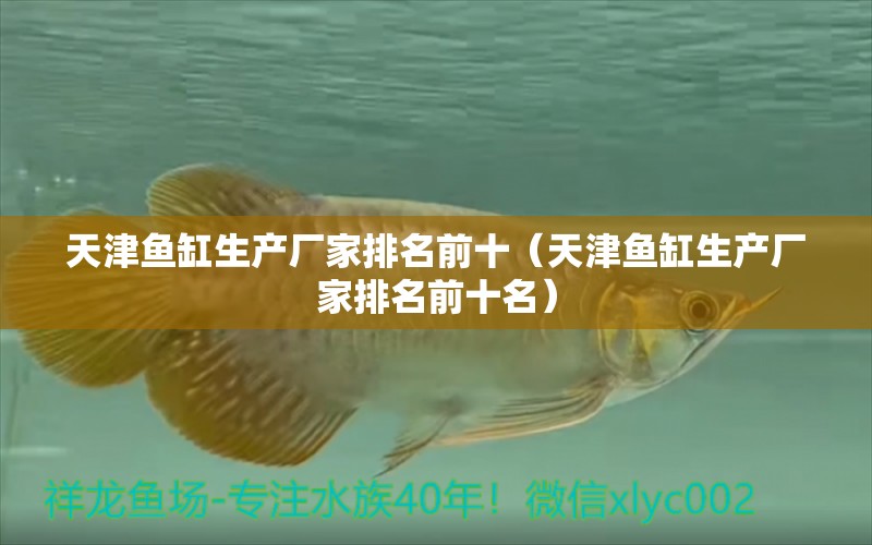 天津魚缸生產(chǎn)廠家排名前十（天津魚缸生產(chǎn)廠家排名前十名）