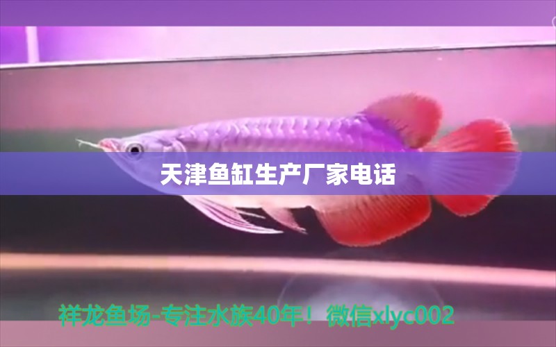 天津魚(yú)缸生產(chǎn)廠家電話