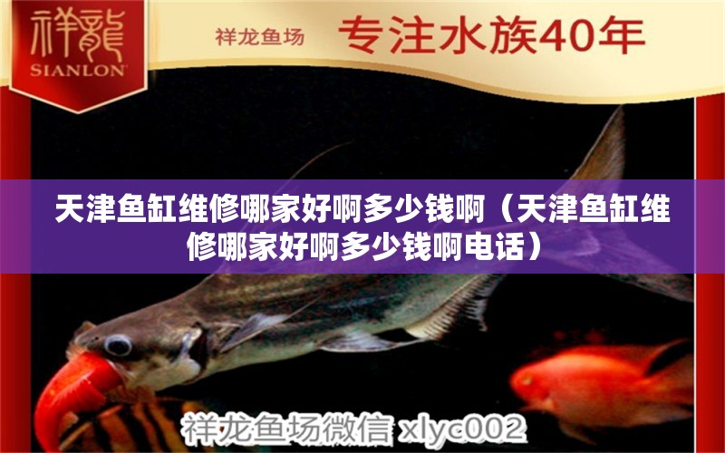 天津魚缸維修哪家好啊多少錢啊（天津魚缸維修哪家好啊多少錢啊電話）