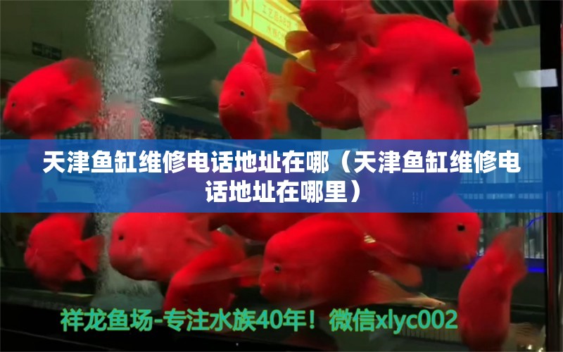 天津魚缸維修電話地址在哪（天津魚缸維修電話地址在哪里）